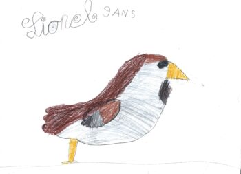 Dessin de Lionel