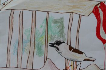 Dessin de Claudia