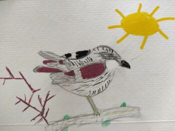 Dessin de Mélyne