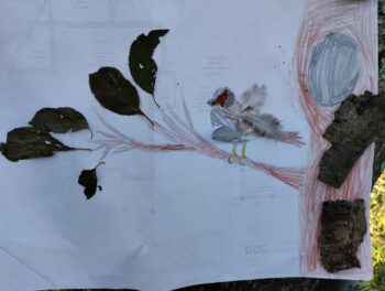 Dessin de Paolino
