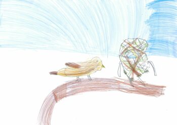 Dessin de Constance