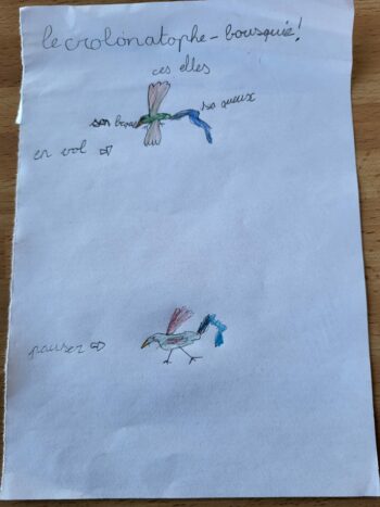 Dessin de Elia