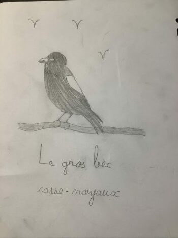 Dessin de Elio