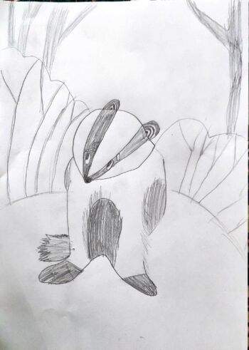 Dessin de Timothée