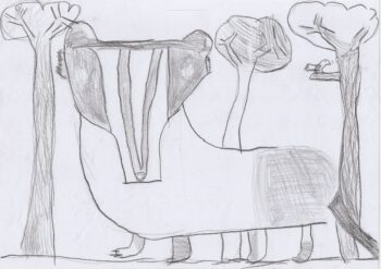 Dessin de Iris