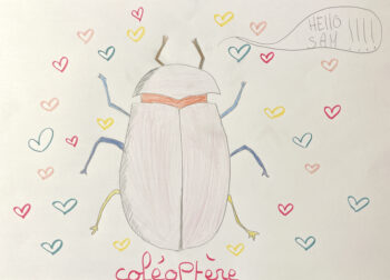 Dessin de Louise