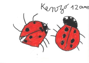 Dessin de Kenzo