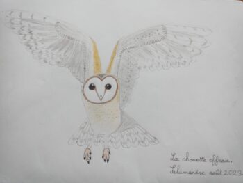 Dessin de Laura