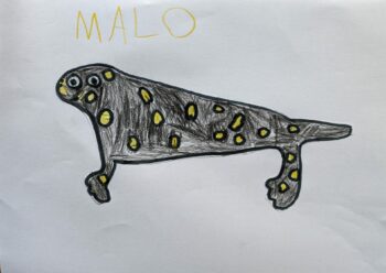 Dessin de Malo