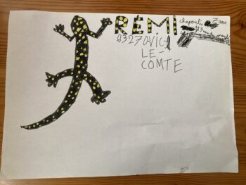 Dessin de Rémi