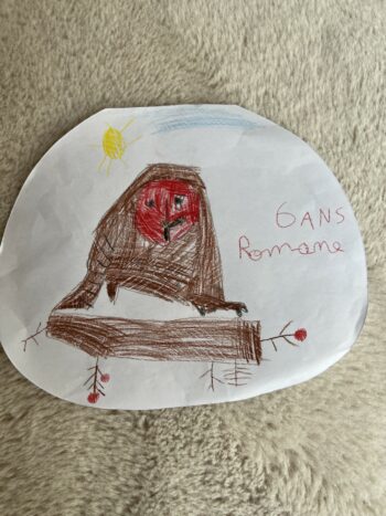 Dessin de Romane