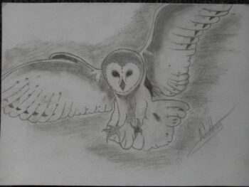 Dessin de Nathan