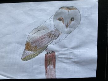 Dessin de Victoire
