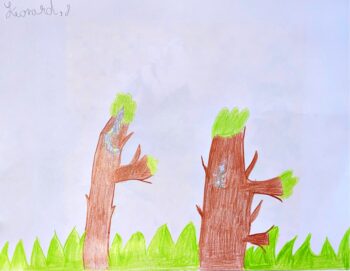 Dessin de Léonard