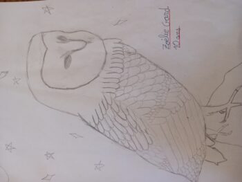 Dessin de Zoélie