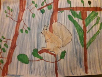 Dessin de Amicie