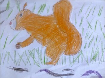 Dessin de Noé