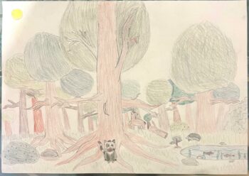 Dessin de Dulcé
