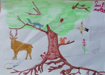 Dessin de Paul