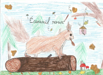 Dessin de Martin