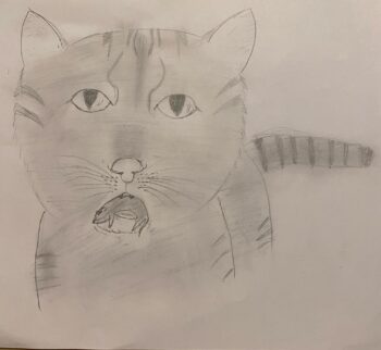 Dessin de Emie