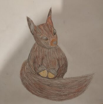 Dessin de Dulcé
