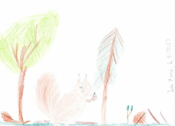 Dessin de Iris