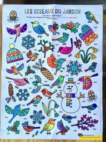 coloriage nature : occupez vos enfants avec nos dessins - La Salamandre