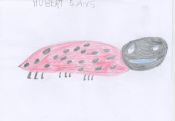 Dessin de Hubert