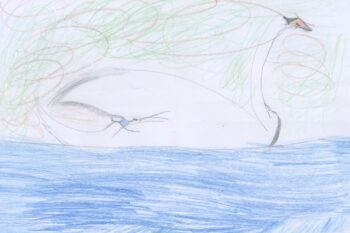 Dessin de Amaury