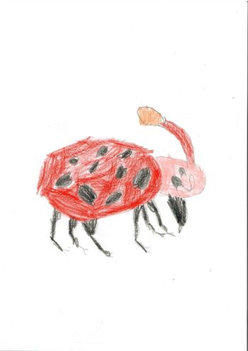 Dessin de Corentin