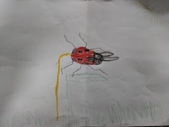 Dessin de Esteban