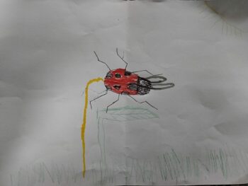 Dessin de Esteban 