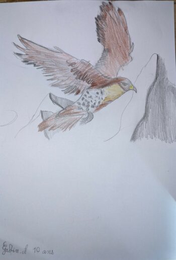 Dessin de Gabin