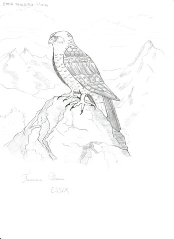 Dessin de Emma