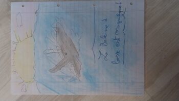 Dessin de Eline