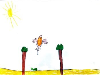 Dessin de Aloïs