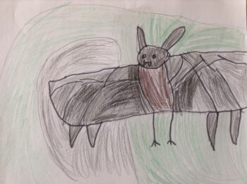 Dessin de Noah
