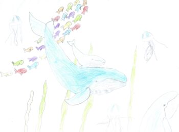 Dessin de Norah