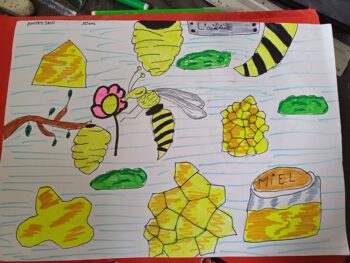 Dessin de Ahmed 