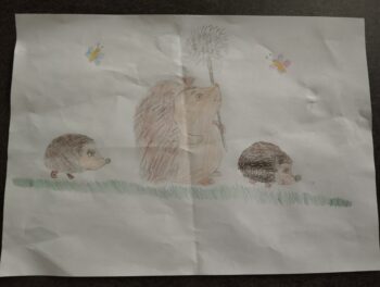 Dessin de Laly