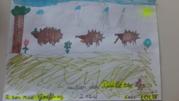 Dessin de Colin
