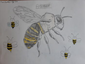 Dessin de Marin