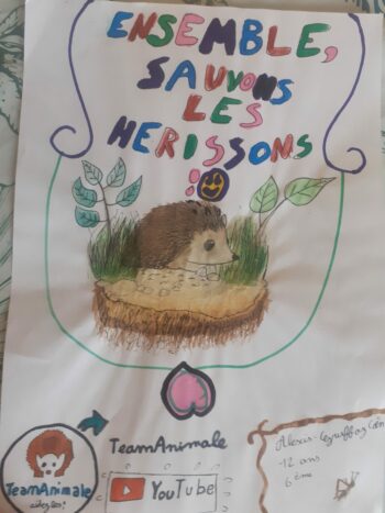 Dessin de Alexis