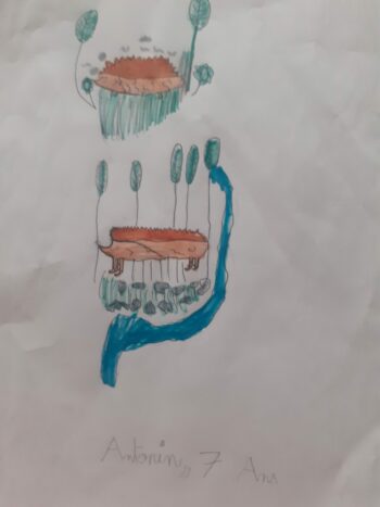 Dessin de Antonin