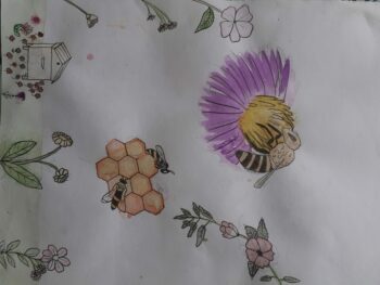 Dessin de Alexis