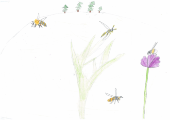 Dessin de Lou