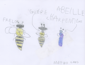 Dessin de Matteo