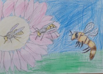 Dessin de Anna