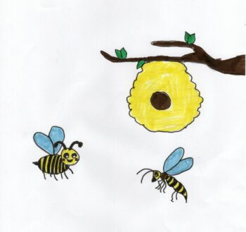 Dessin de Hugo
